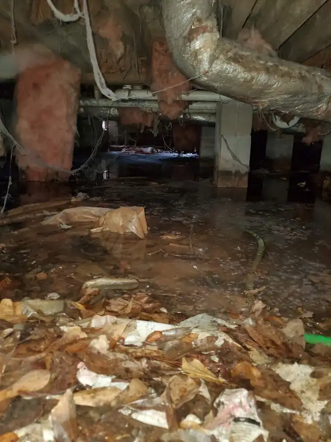 Crawl space flood assessment for Leak Detection & Repair in Yorktown